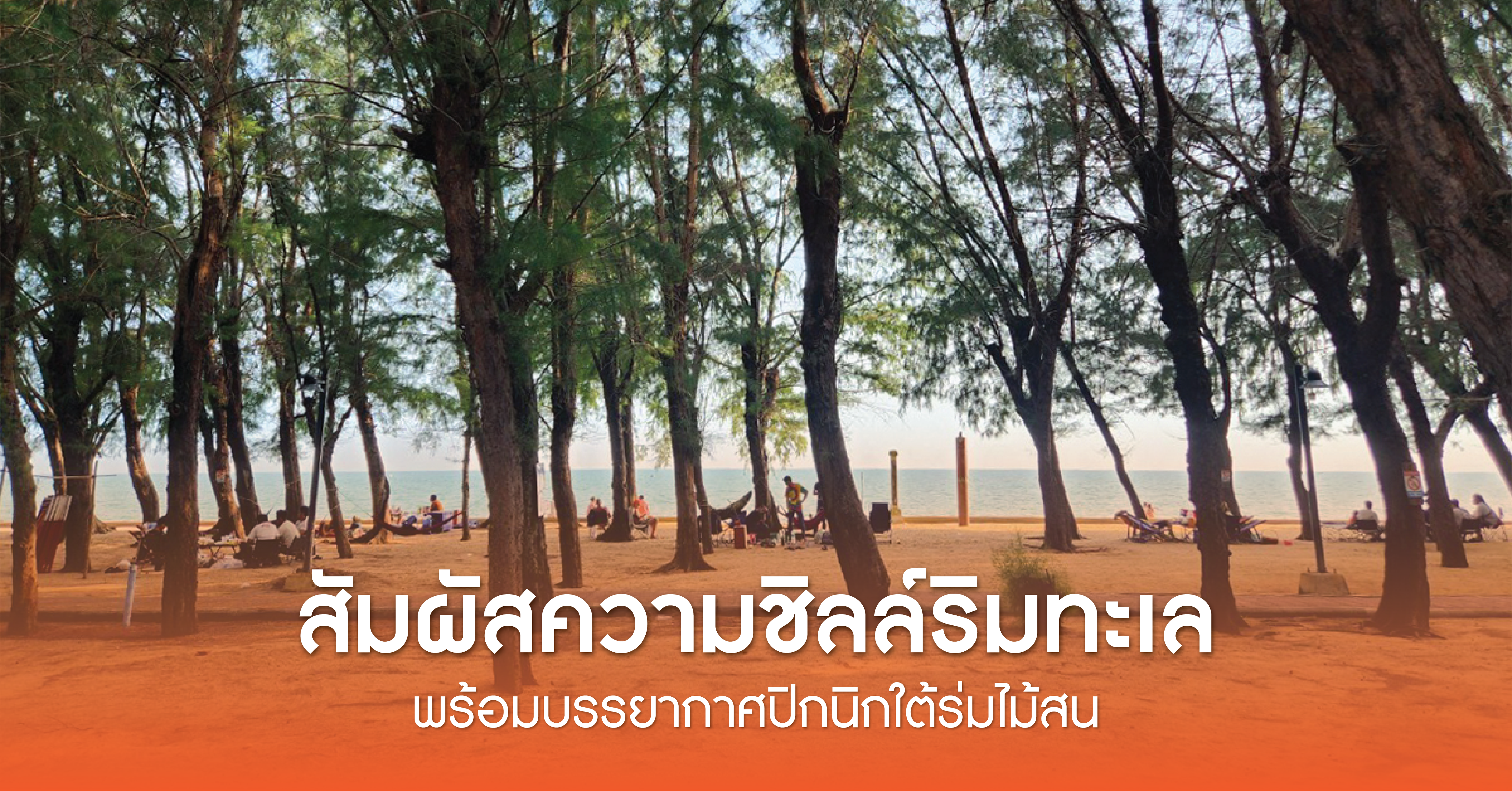 หาดพลา สัมผัสความชิลล์ริมทะเล พร้อมบรรยากาศปิกนิกใต้ร่มไม้สน